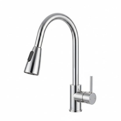 Onyx Elements chrome pull-down kitchen faucet with gooseneck spout and dual spray functions.